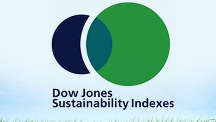 Launched in 1999, the DJSI was the first global index to track leading sustainability-driven companies
